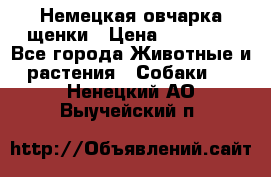 Немецкая овчарка щенки › Цена ­ 20 000 - Все города Животные и растения » Собаки   . Ненецкий АО,Выучейский п.